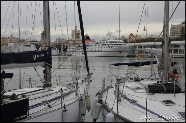 Malaga12005.jpg