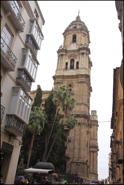 Malaga12013.jpg