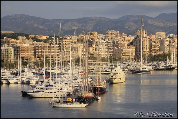 Mallorca12003.jpg