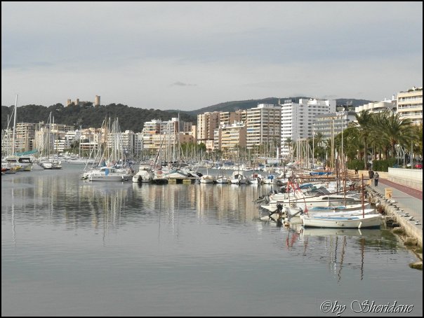 Mallorca12004.jpg