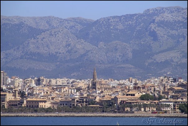 Palma14005.jpg