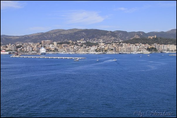 Palma14006.jpg
