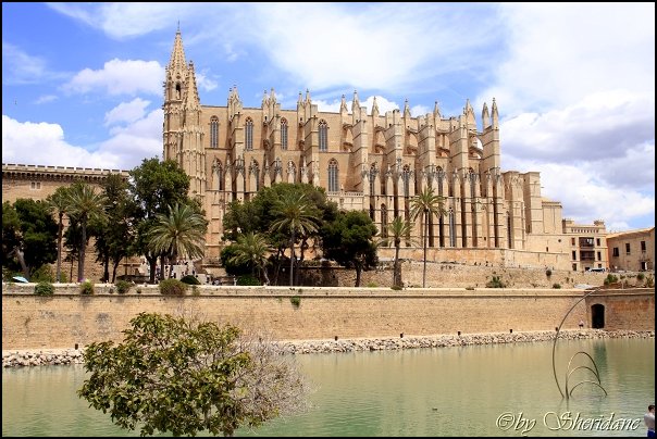 Palma14010.jpg