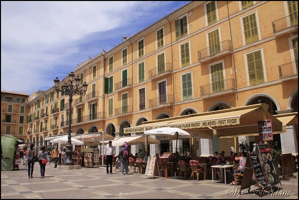 Palma14013.jpg