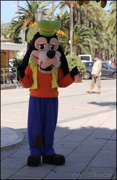 Mallorca0604.jpg