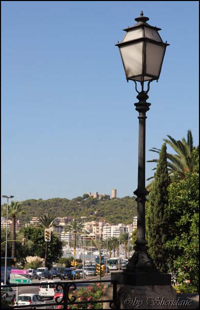 Mallorca0608.jpg