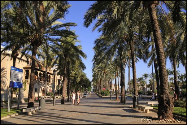 Mallorca0609.jpg