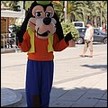 Mallorca0604.jpg