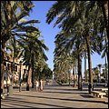 Mallorca0609.jpg