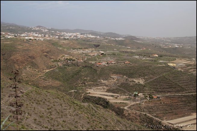 Teneriffa17058.jpg