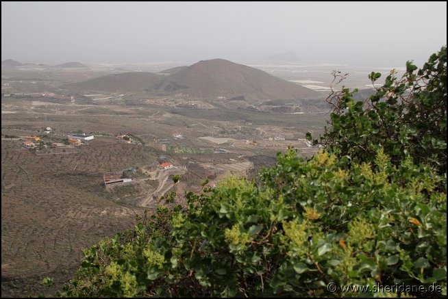 Teneriffa17059.jpg