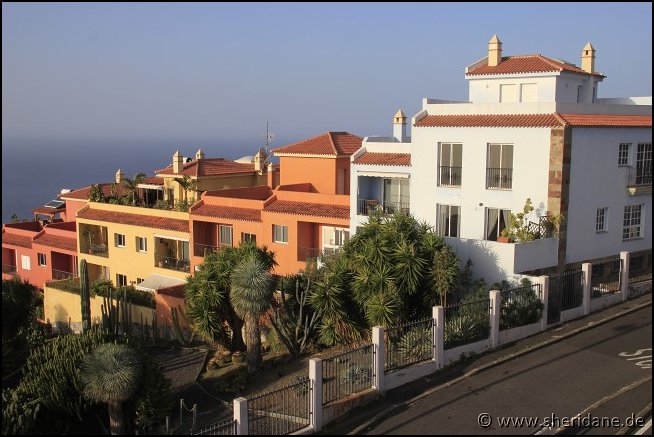 Teneriffa17075.jpg