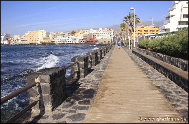 Teneriffa17082.jpg