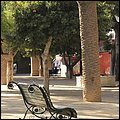 Teneriffa17018.jpg