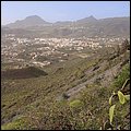 Teneriffa17056.jpg