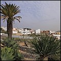 Teneriffa17061.jpg