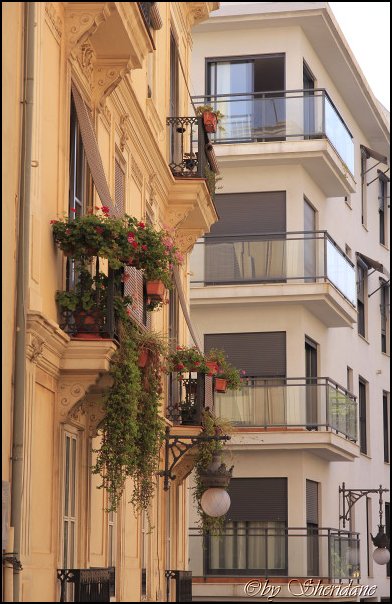 Valencia085.jpg