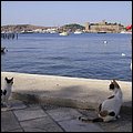 Bodrum16008.jpg