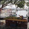 Bodrum16033.jpg