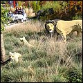 Legoland050.jpg