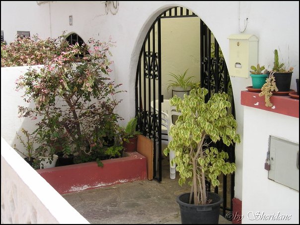 Fuerteventura022.jpg