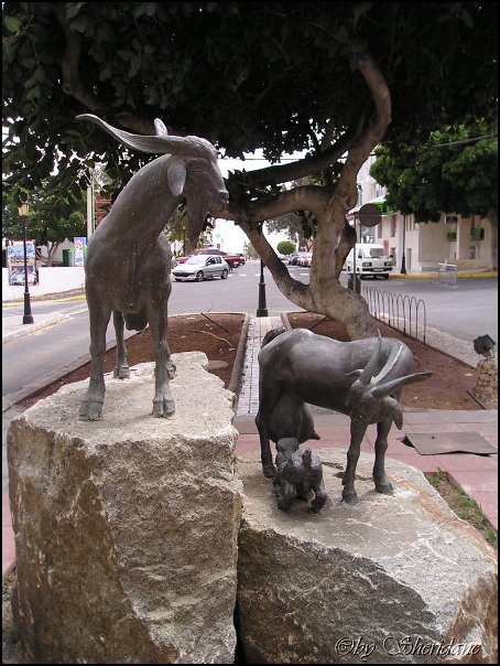 Fuerteventura023.jpg