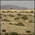 Fuerteventura001.jpg
