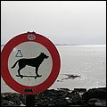 Fuerteventura005.jpg