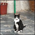 Fuerteventura006.jpg