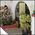 Fuerteventura022.jpg