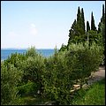 Gardasee031.jpg