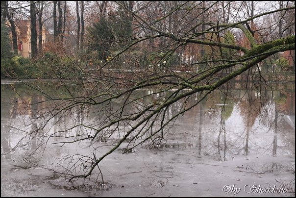 Brussel096.jpg