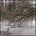 Brussel096.jpg