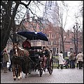 Brussel100.jpg