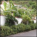 GranCanaria011.jpg