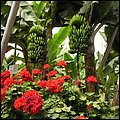 GranCanaria015.jpg