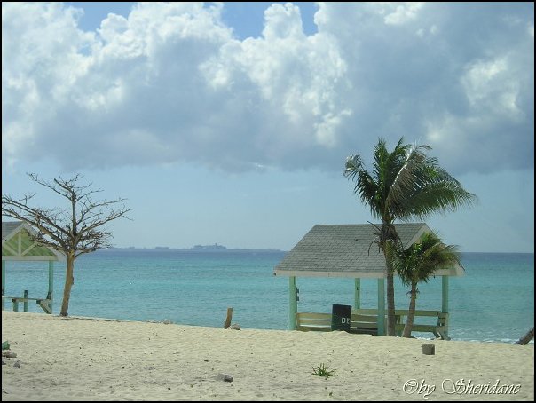 GrandCayman006.jpg