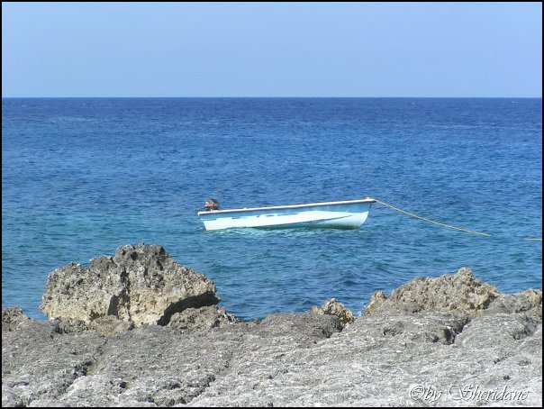 GrandCayman021.jpg