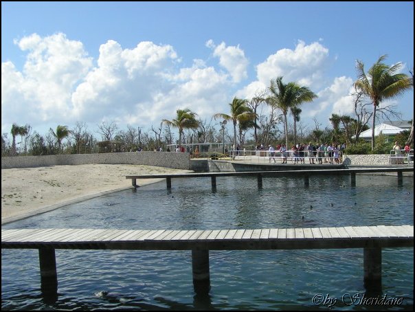 GrandCayman022.jpg