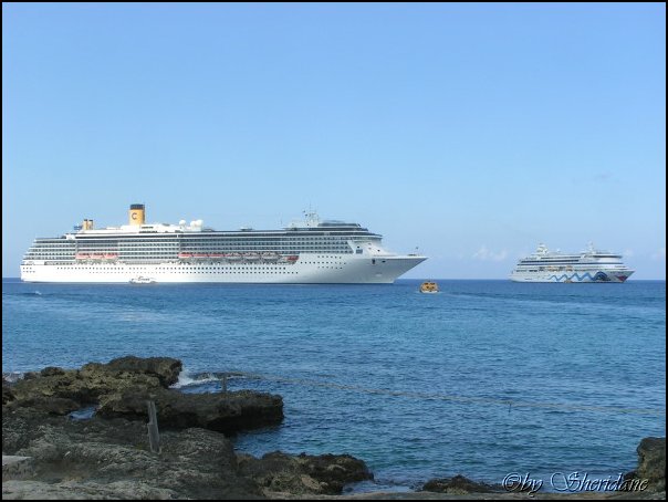 GrandCayman038.jpg