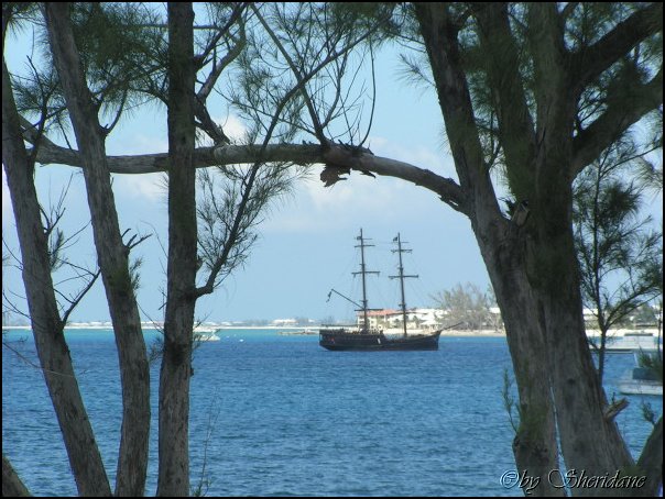 GrandCayman042.jpg