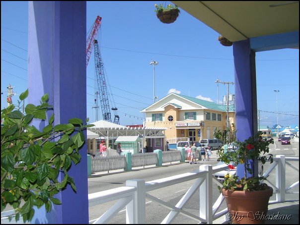 GrandCayman044.jpg