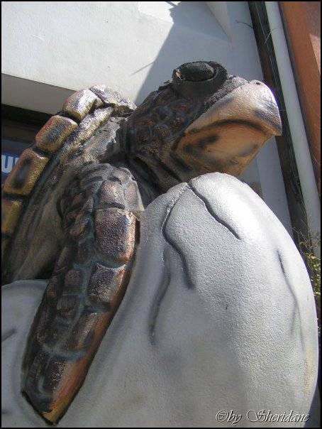 GrandCayman047.jpg