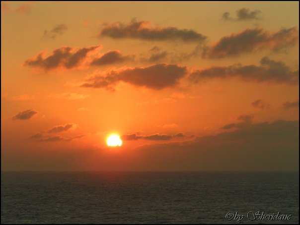 GrandCayman054.jpg