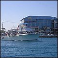 GrandCayman001.jpg