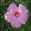 GrandCayman013.jpg