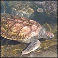 GrandCayman023.jpg