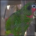 GrandCayman028.jpg