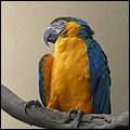 GrandCayman031.jpg