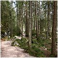 Gruenstein036.jpg